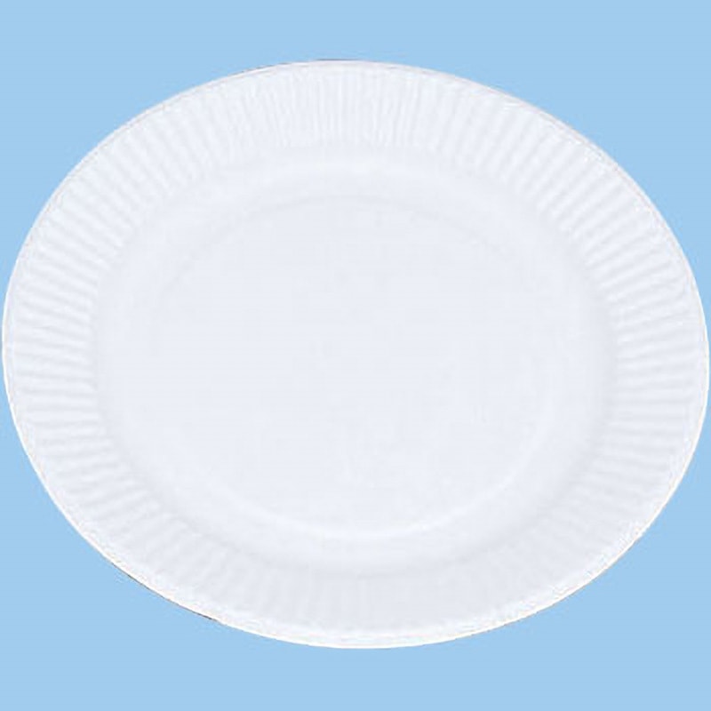 181922 スタンダードプレート ペーパーウェア 100枚入 直径18cm