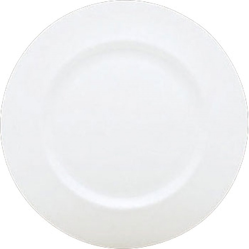 10640-31127 RT ジェイド リムプレート ローゼンタール 丸皿 白色 洋食器 高さ22mm  10640-31127