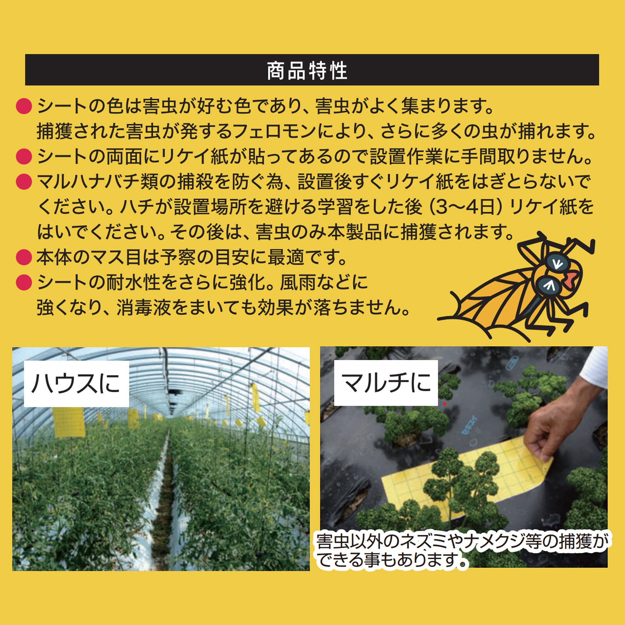 GTMK-50 吊るしてGET虫ミニ 強力タイプ 平城商事 寸法250×2×100mm 1