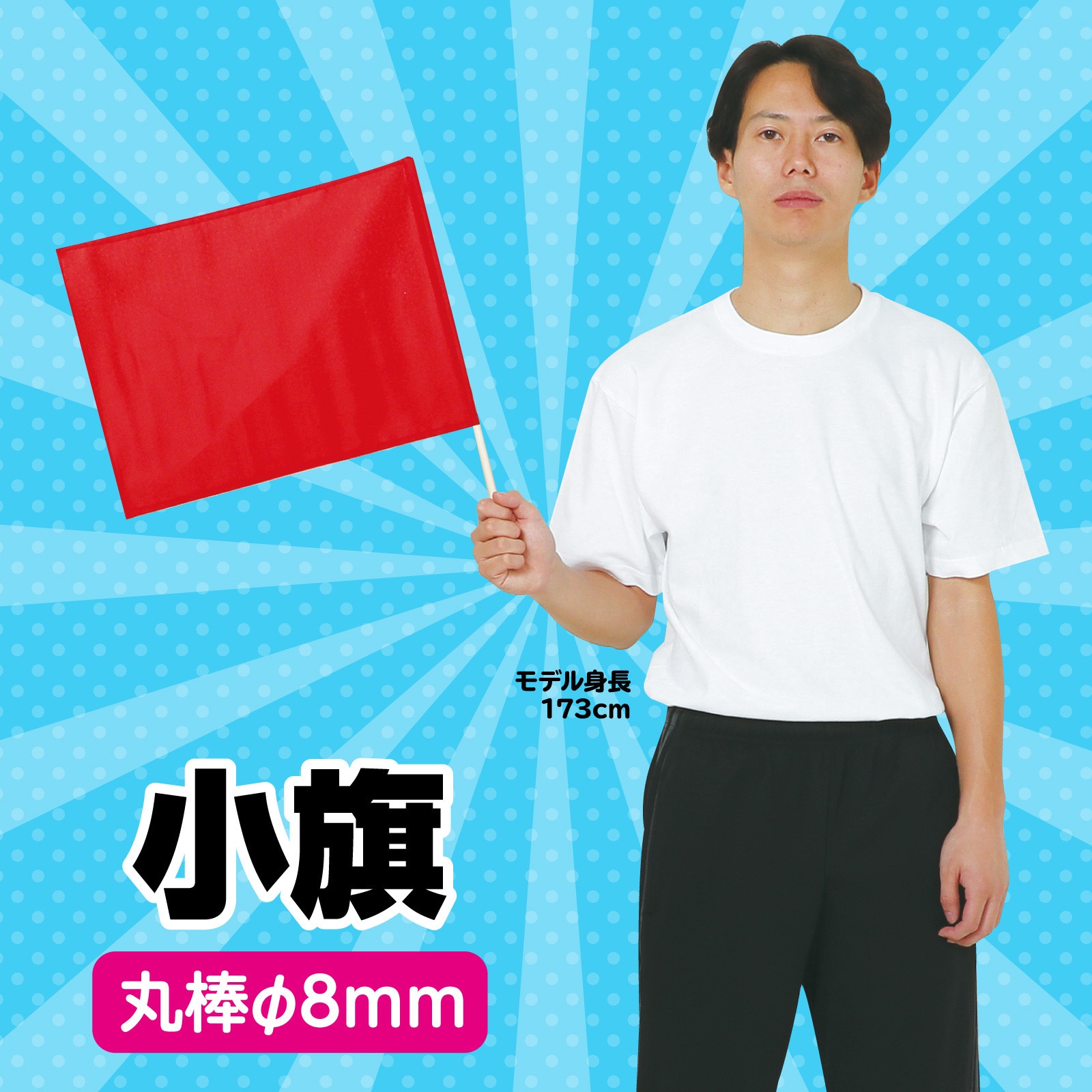 旗戦（８冊セット） koalan-1.jpg