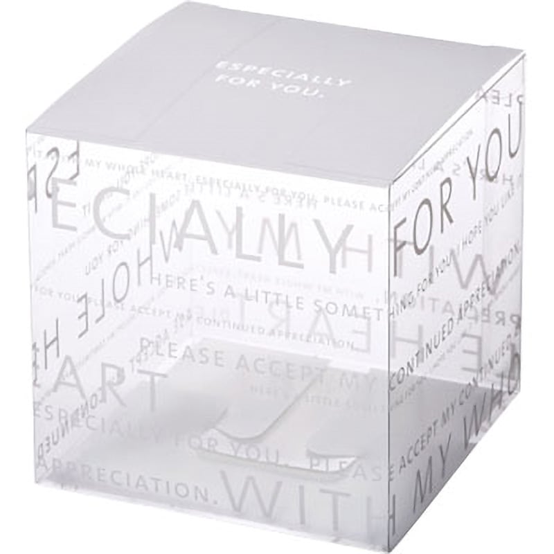 PNN-100 ブラン ピュアケースPNN (印刷入り) 大森 寸法100×100×100mm 1箱(200枚) 29,980円