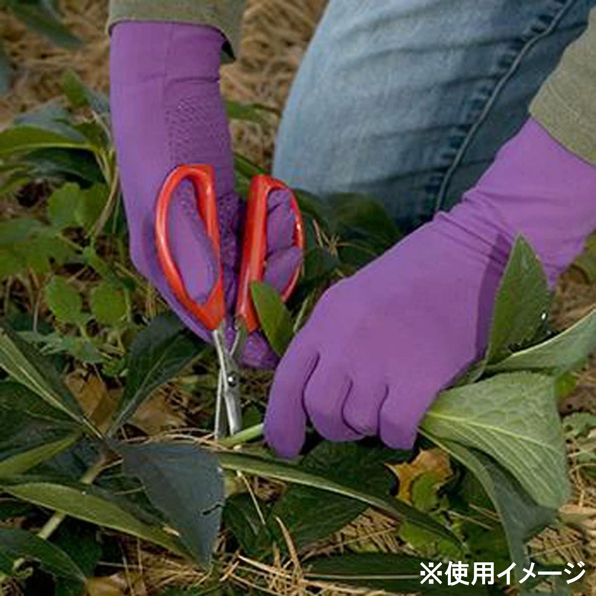 35121 ガーデニンググローブ Grip FOXGLOVES Tulip red(チューリップ