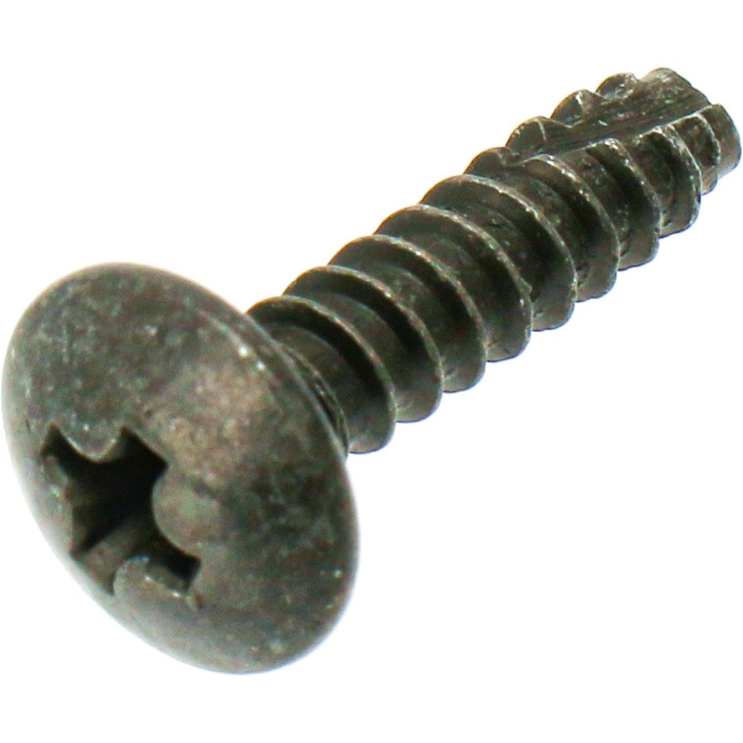 カラシさん専用 TSH-021-10 タッピングスクリュー NTB 4×16サイズ 1パック(10個) TSH