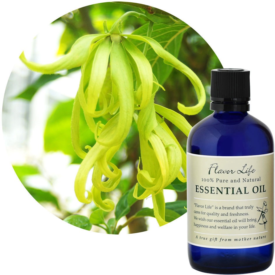 フレーバーライフ 精油 イランイラン 100mL 1個(100mL) フレーバーライフ 【通販モノタロウ】