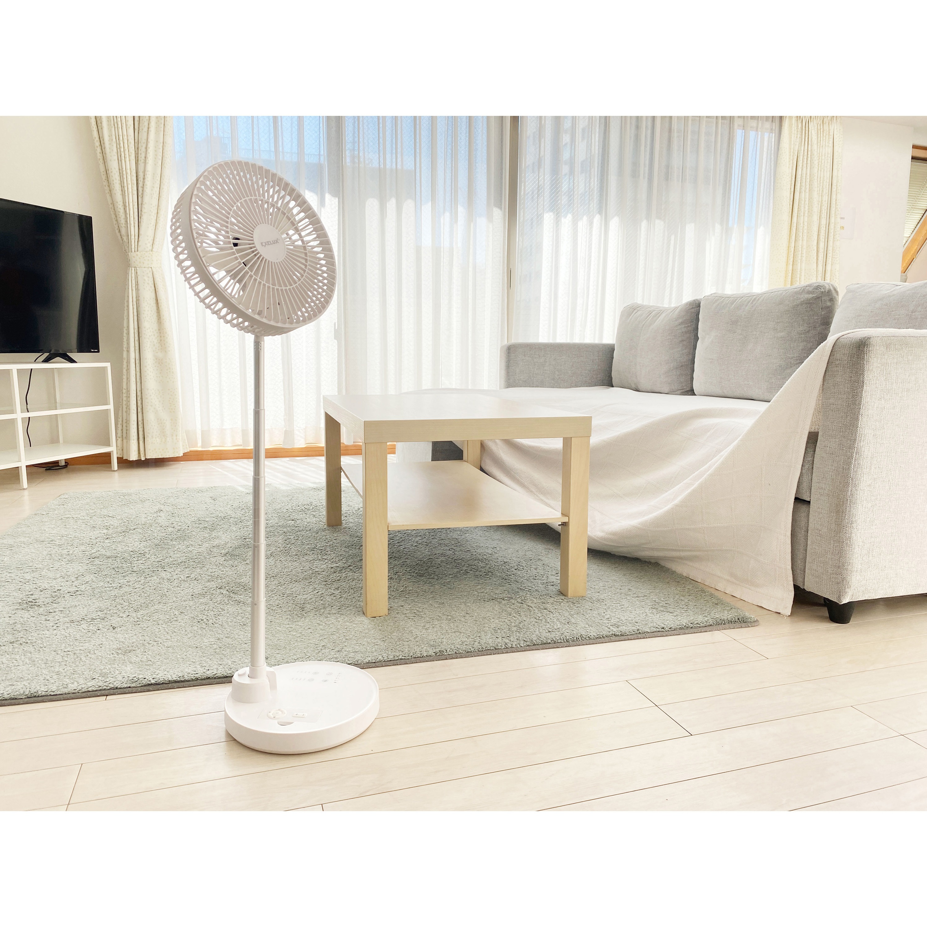 未使用 エグゼラックス EXELUX サーキュレーター PAN-EC10 PAN-EC10-WH サーキュレーター扇風機 10インチ 1台 エグゼ