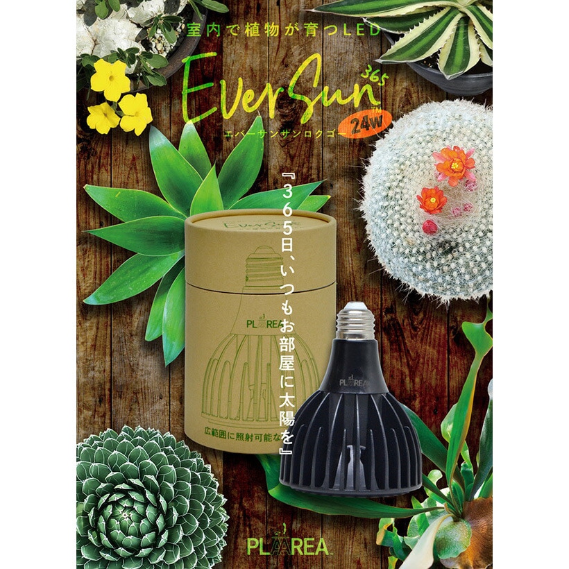 EVERSUN365 植物育成ライト 1セット ゼンスイ 【通販モノタロウ】