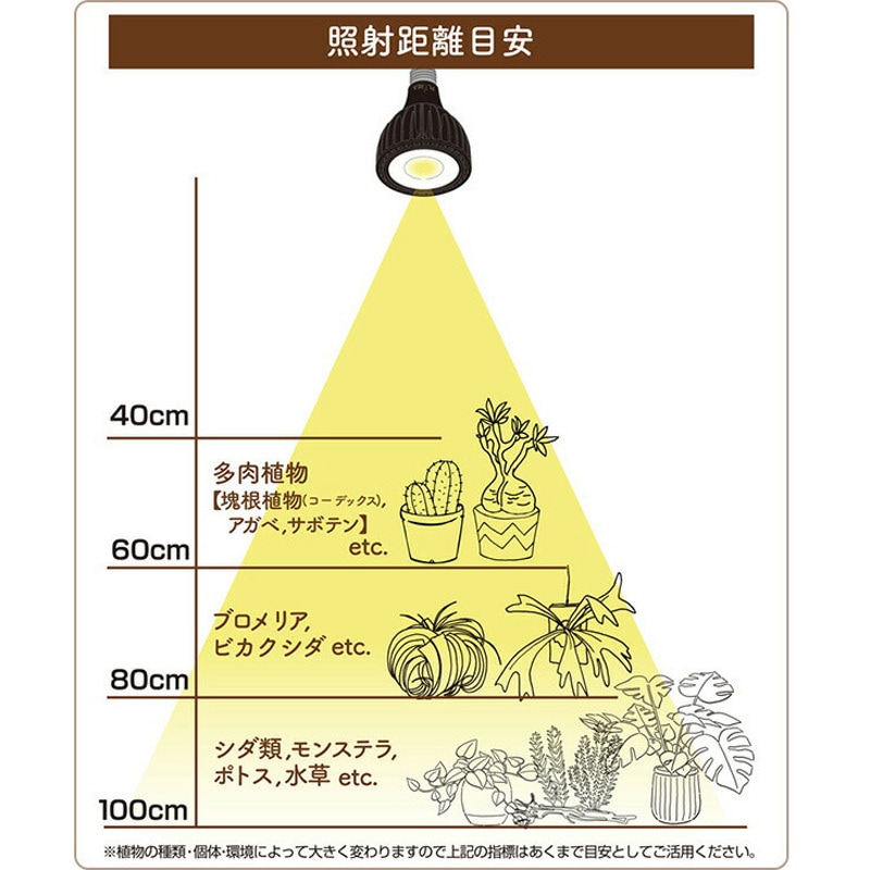 EVERSUN365 植物育成ライト 1セット ゼンスイ 【通販モノタロウ】