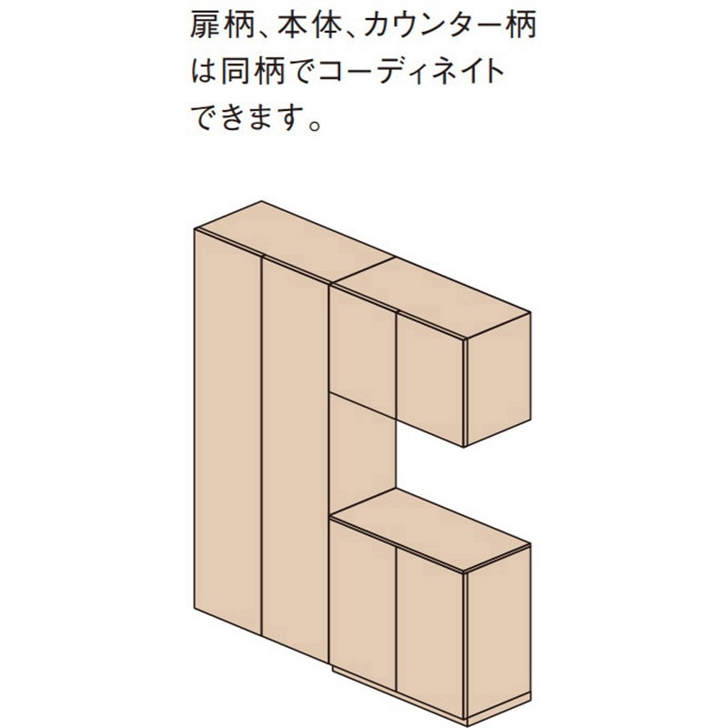 XQCE4S13FNWY 玄関収納コンポリア 天袋ユニット(H570) 3型(手がけ仕様