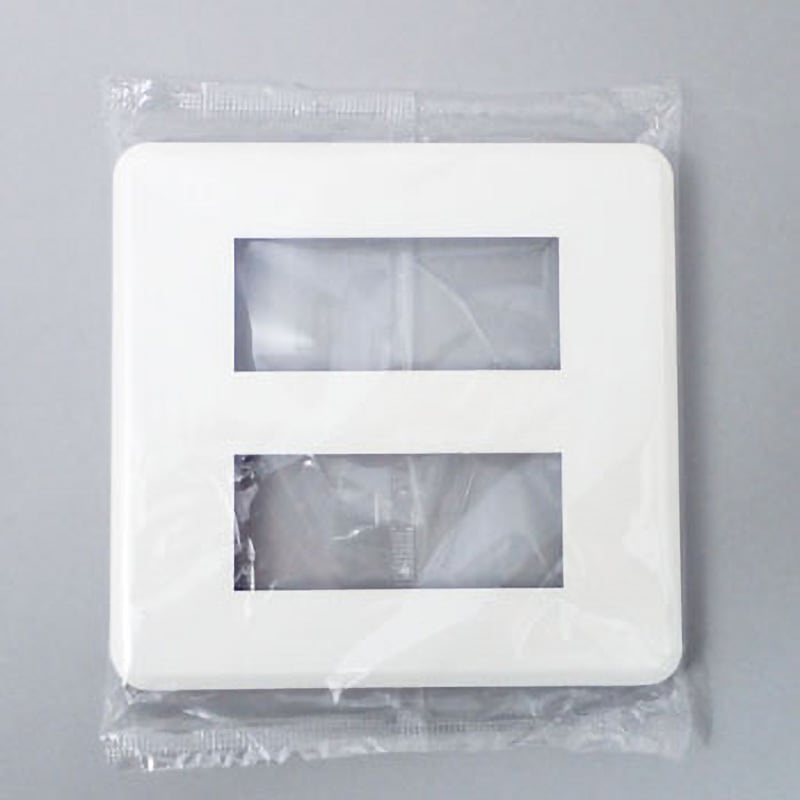 WDG5416(WW) プレート 東芝ライテック プレート形状2連6コ用 - 【通販