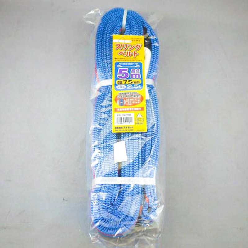 DS7550 スリングベルト アイネット JIS-IIIE型 荷重(t):2.5(最大) ベルト幅75mm全長5m  DS7550