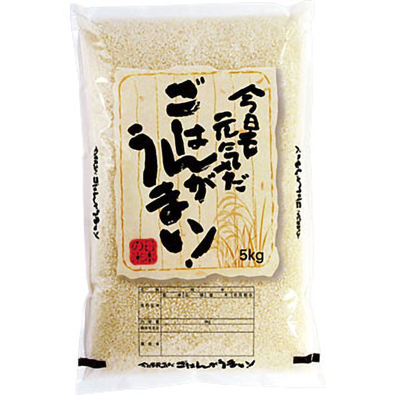 007290501 【袋のみ】 ラミDH ごはんがうまい 1パック(100枚) アサヒパック 【通販モノタロウ】