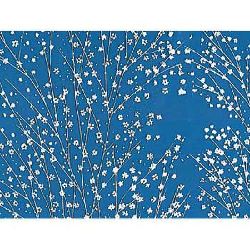かすみ草 のPompon ブーケ かすみ草 生花 ブーケ 花束 大分県