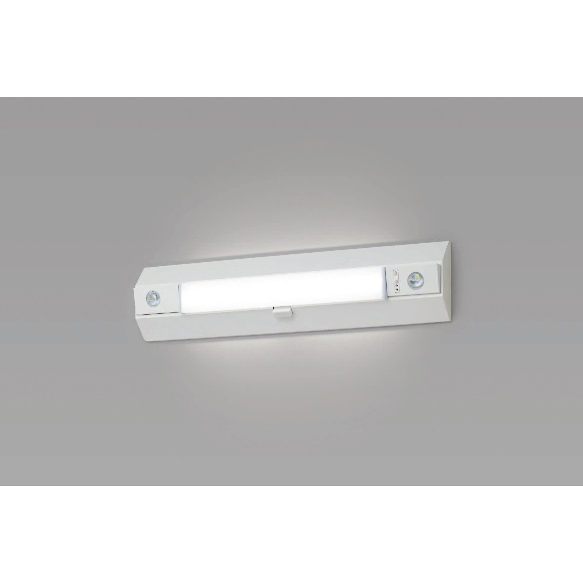 NNCF23135JLE9 一体型階段灯20形高光束30分NTワイド 1台 Panasonic