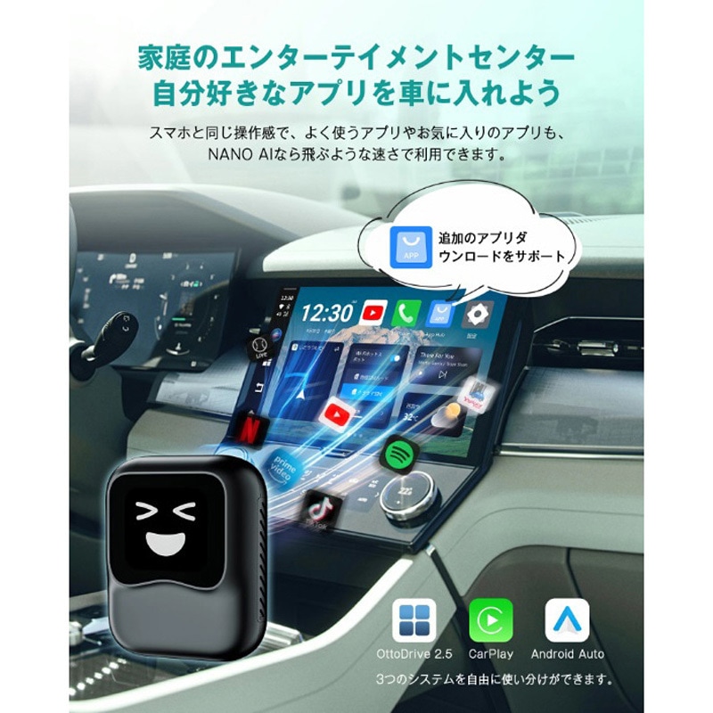 PCS50 オットキャストナノAI (Otto AIBox Nano AI) 1セット オット