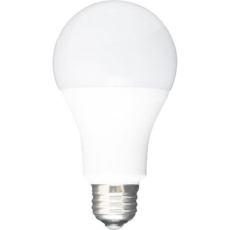 LL-15A LED電球 E26 EARTH MAN 昼光色 電圧AC100V 15W 6500K 配光角度