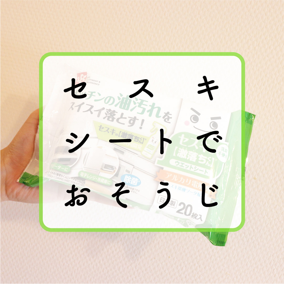 SS-224 セスキの激落ちくんシートキッチン用 LEC(レック) 1個(20枚) SS