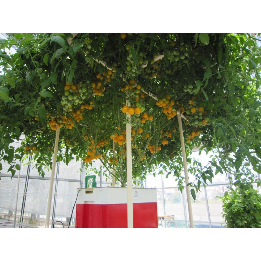 040411 Sarahプラス 家庭用水耕栽培キット 1台 ホームハイポニカ