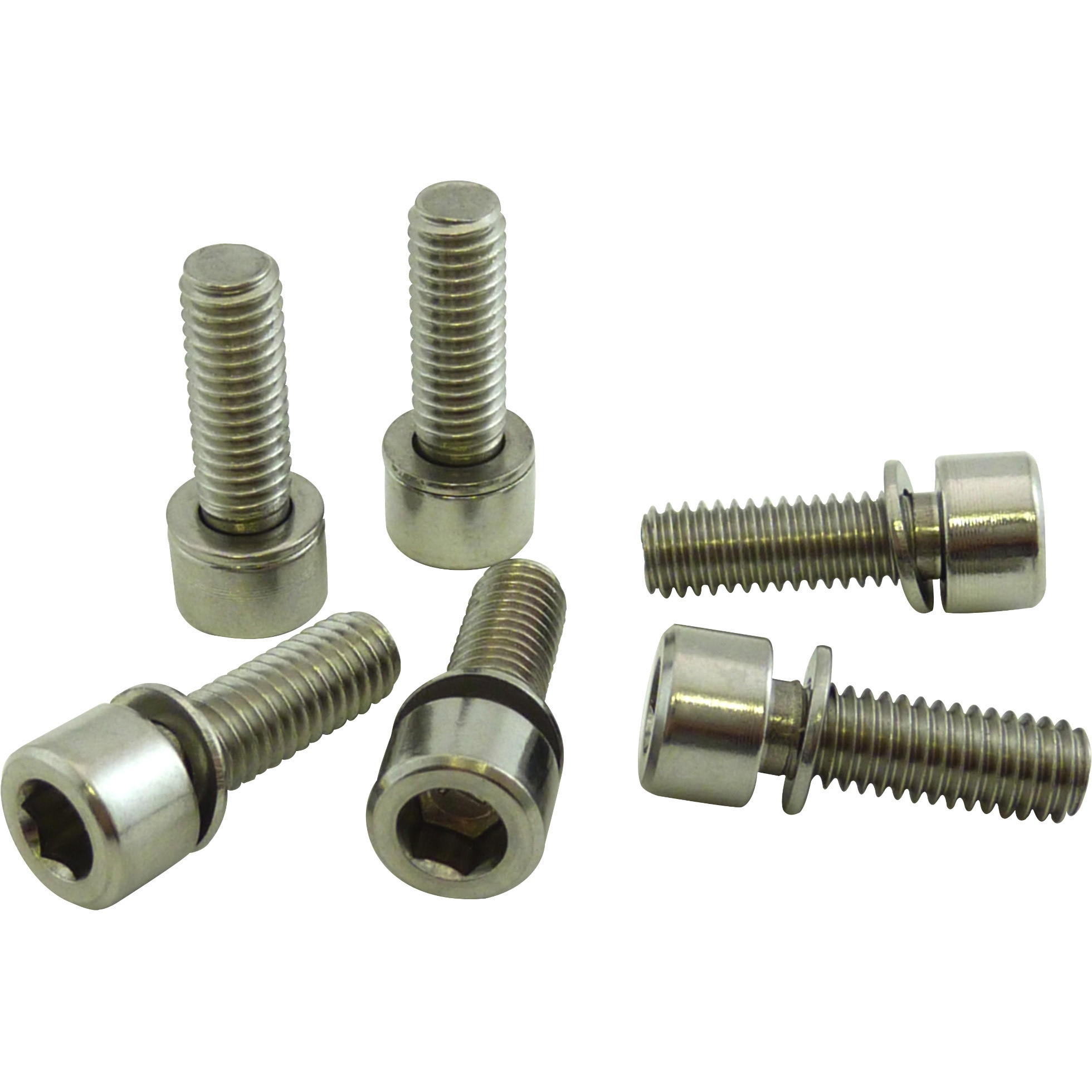 M6x18mm ステンレスボルトセット 6イリ 1個 Ruler(ルーラー) 【通販