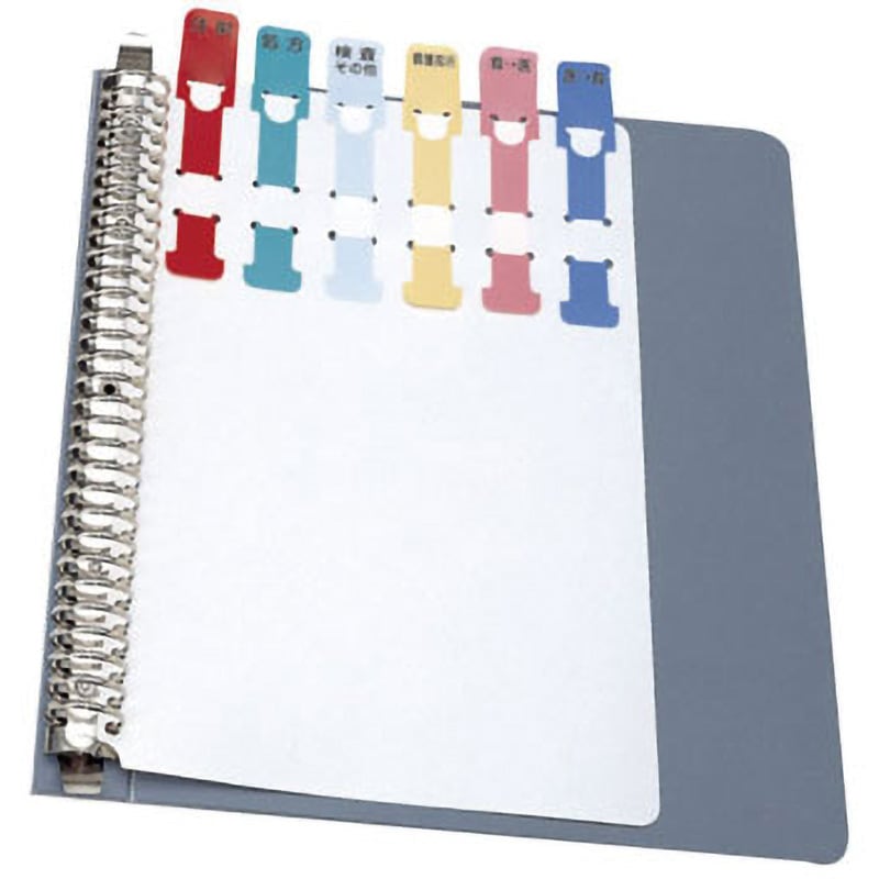 オーダーシグナル(項目印刷タイプ) ケルン カードインデックス 【通販