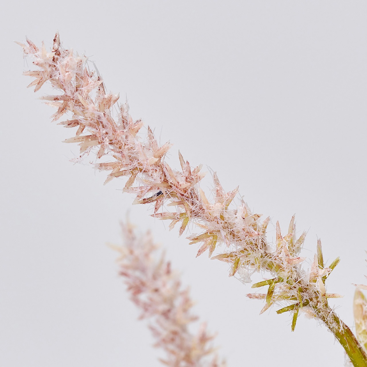 花台　真塗　４枚セット 巾木 DAIKEN (ダイケン) 化粧シート玄関造作材 玄関巾木（L型/芯