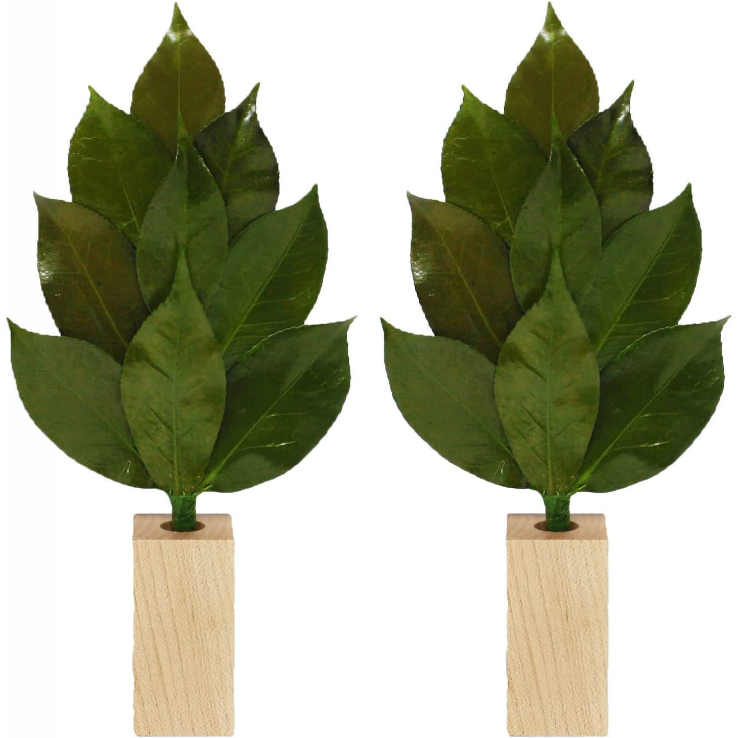 A&K 久遠 大 榊M お札立てセット KN-009 榊 榊立てセット 榊Sタイプ 榊立て 1個 MK-036