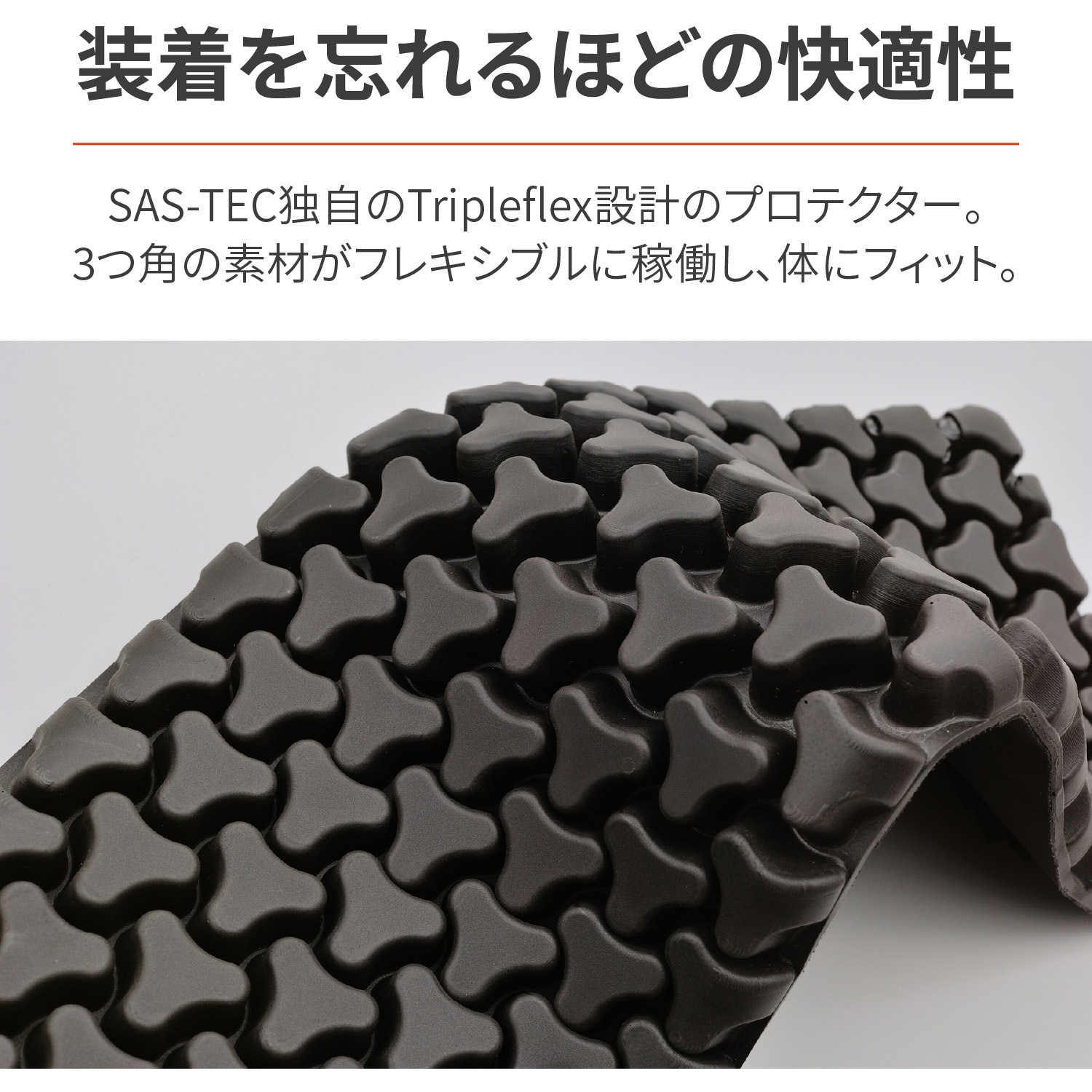 32509 SAS-TEC 背中用プロテクター DAYTONA(デイトナ) ブラック色