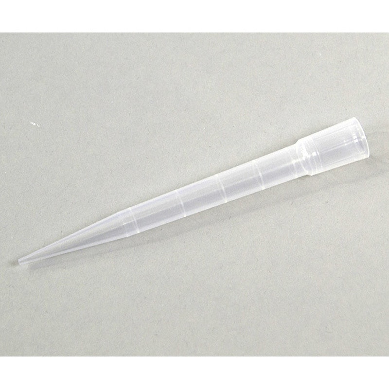 【.amineko.】チューリップ amineko.】チューリップ TURIP < チューリップ > – APROZ.