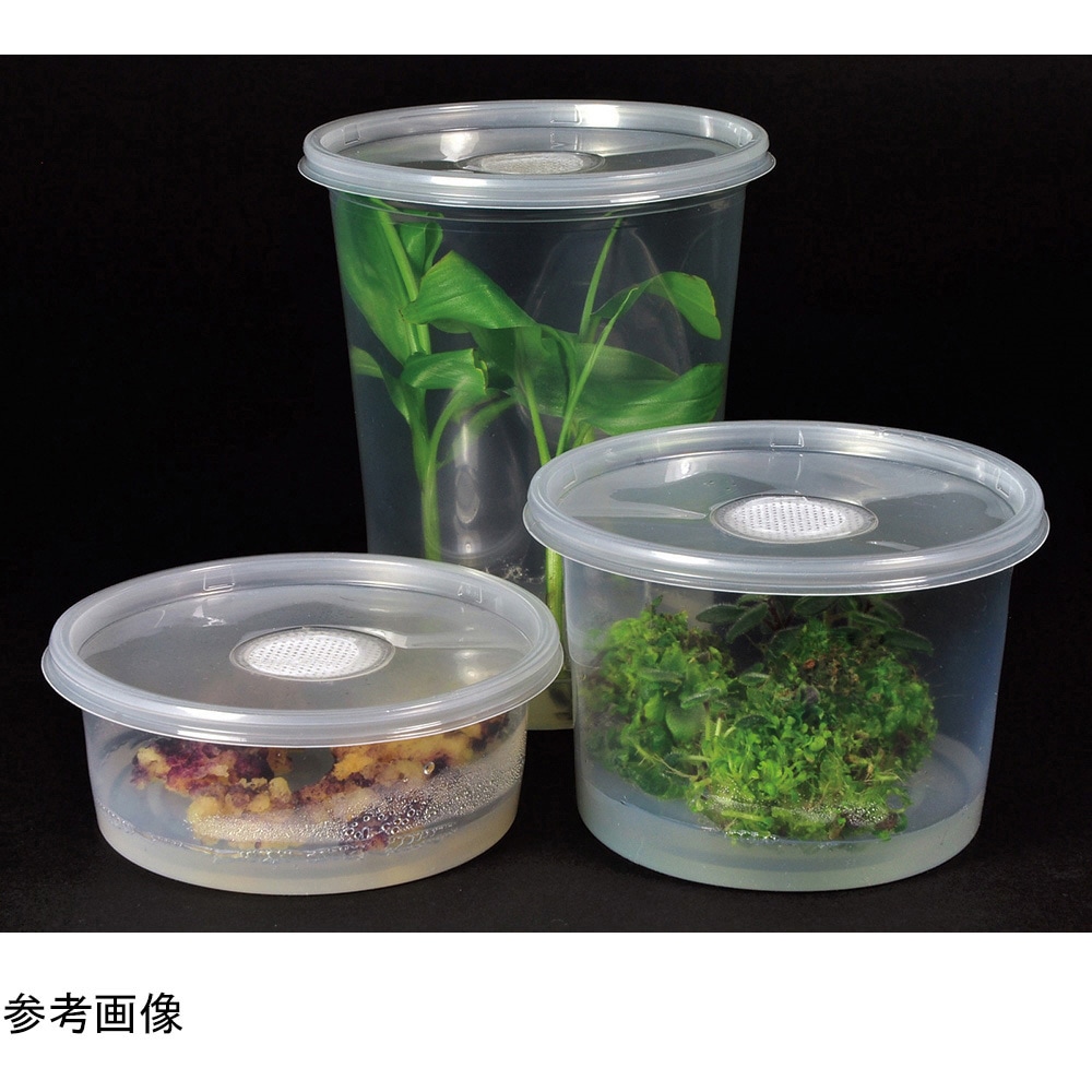 C174-25EA 植物培養容器 PhytoCon 1箱(25個) PhytoTechnology