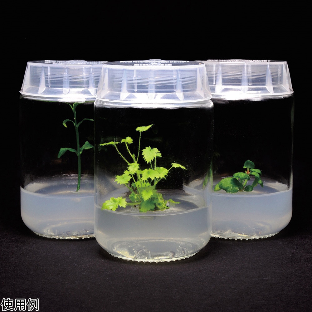 C1770-100EA 植物培養容器 PhytoTechnology Laboratories， LLC 容量220mL  1箱(100個) C1770-100EA