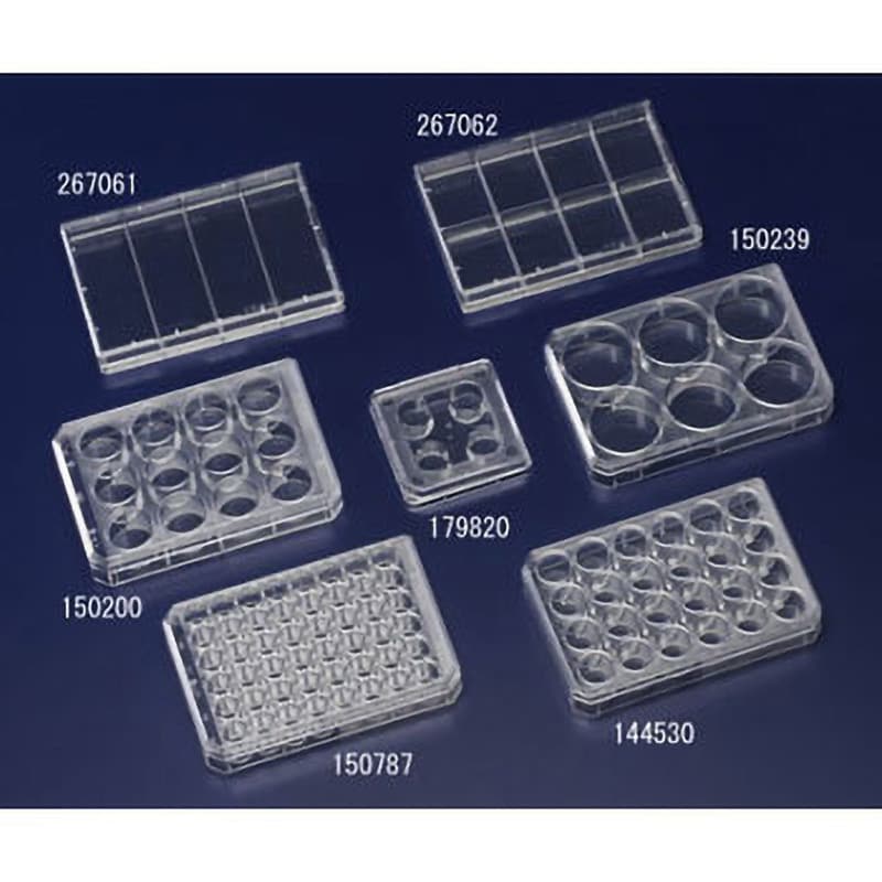 Thermo Scientific Nunc 浮遊細胞用マルチディッシュ 1箱(1枚×75袋入