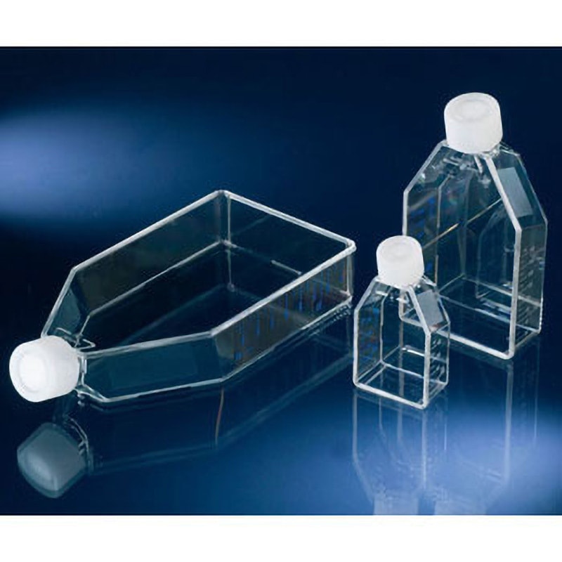 その他 Oggggy 169900 浮遊細胞用フラスコ 1個 Nalge Nunc (サーモフィッシャー