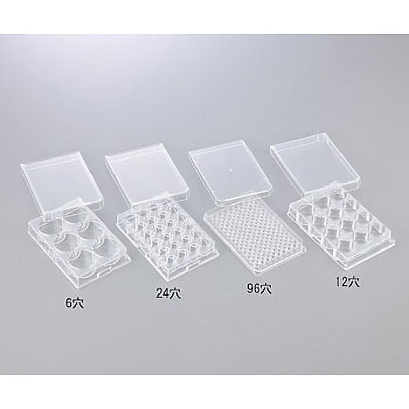 浮遊細胞培養用プレート 12穴(平底) 1個 ステム 【通販モノタロウ】