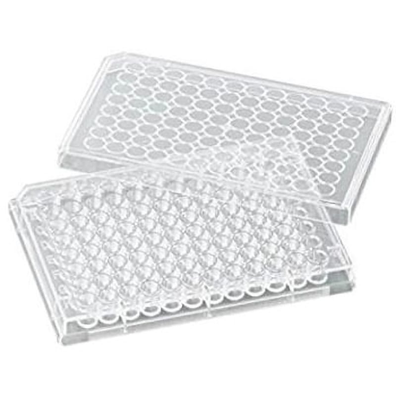 専用　プロモ6枚 LUIMOTO（ルイモト) Team Kawasaki/フロントシートカバー KAWASAKI ZX