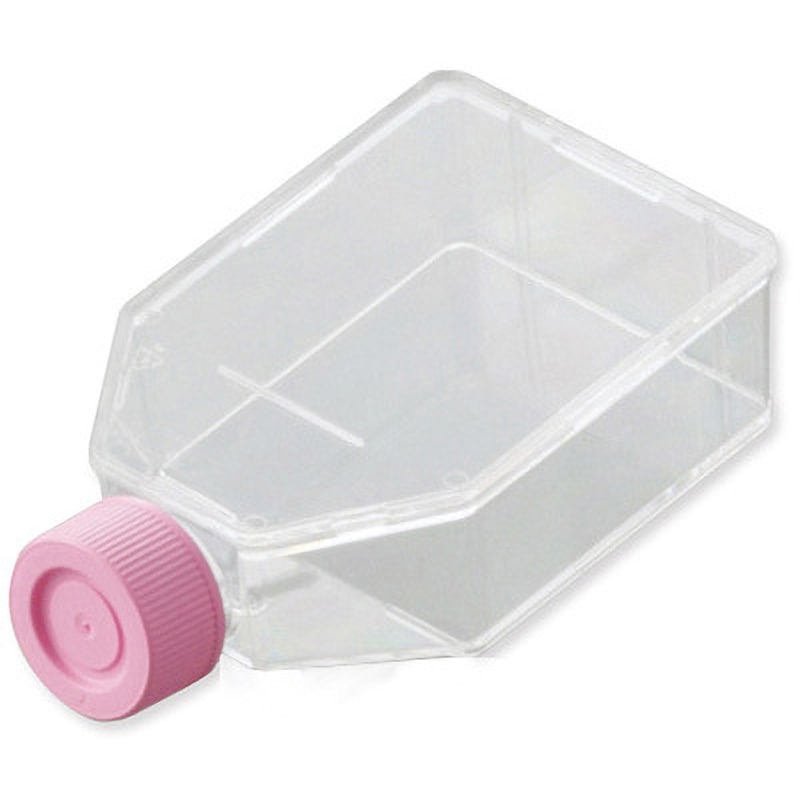 ユ*ノ様 大株出品　vp mix 胞子培養株 ユ*ノ様 大株出品 vp mix 胞子培養株 安定的な細胞