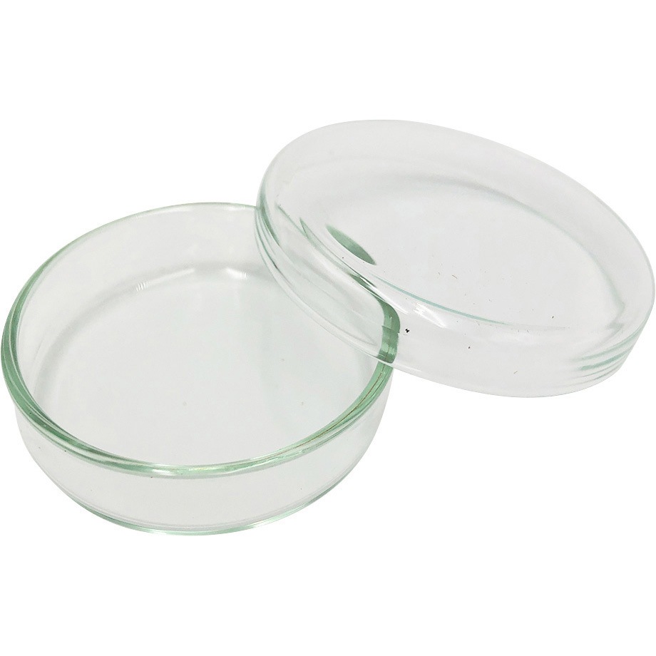 18598 50/12 スタンダードシャーレ アズワン 径50mm 1個 - 【通販