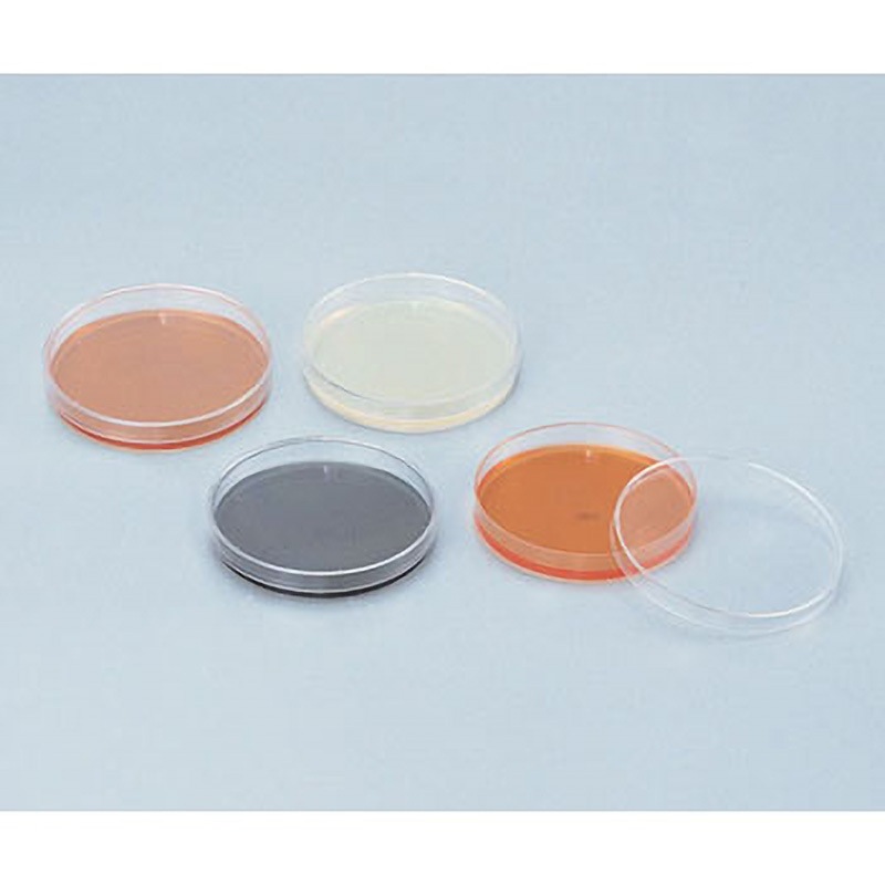 食品用寒天平板生培地 卵黄加マンニット(冷蔵) 1個 オリエンタル酵母工業 【通販モノタロウ】