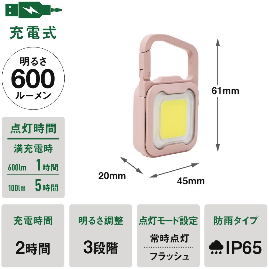 WRC-21DP 充電式 ぴかり MINI LIGHT ライテックス(ムサシ) LED フック
