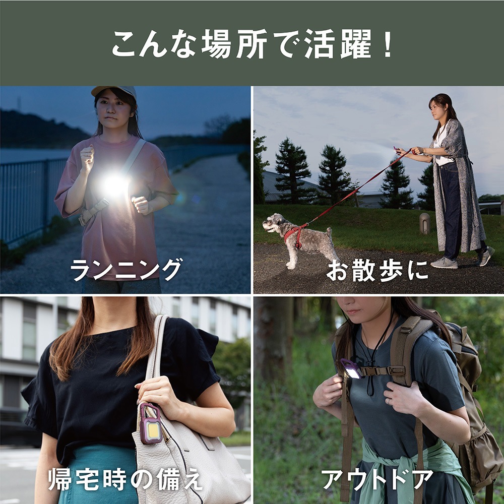 WRC-26RP 充電式 ぴかり MINI LIGHT ライテックス(ムサシ) LED フック