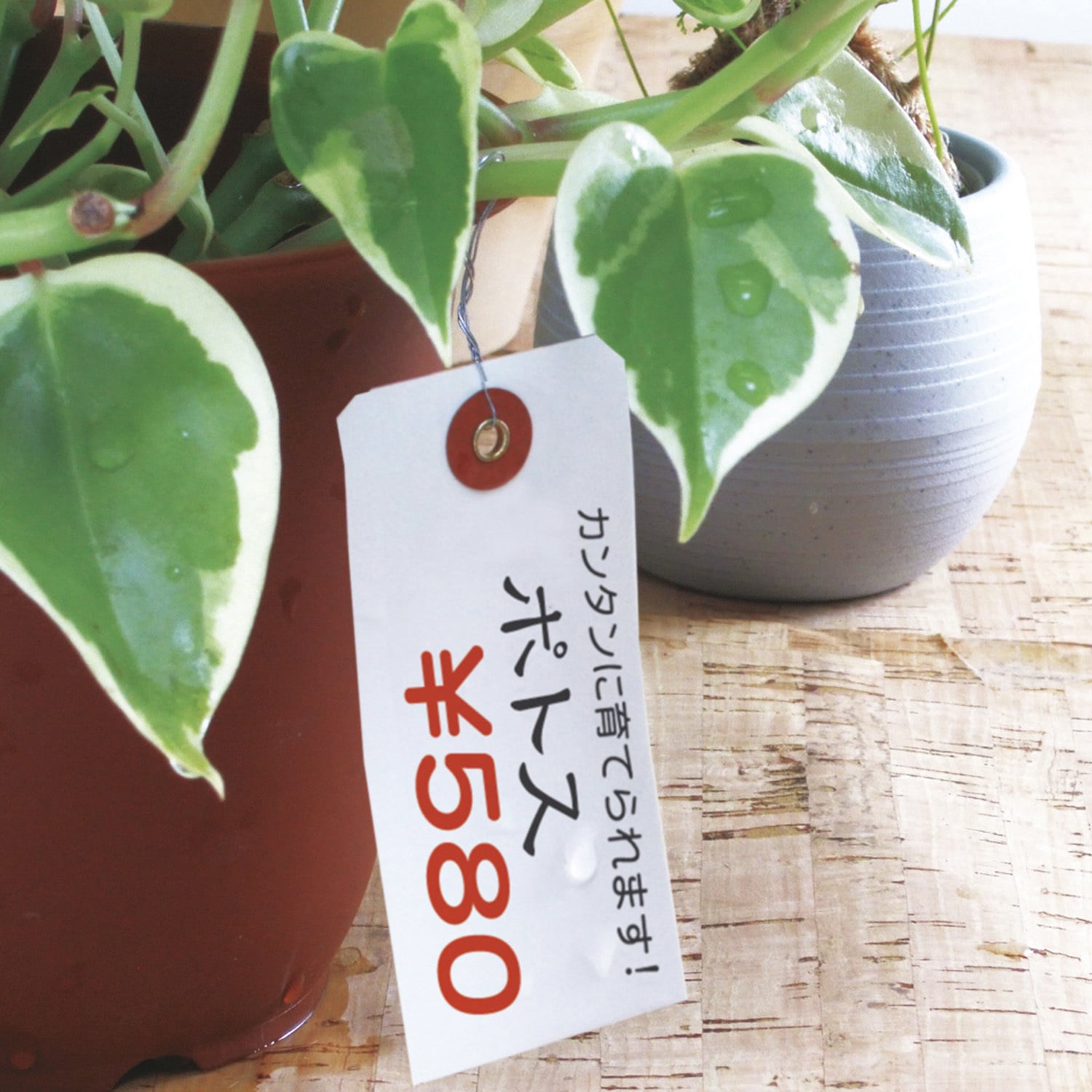 25-170 荷札 布札白 防水加工仕上 1箱(1000枚) タカ印(ササガワ