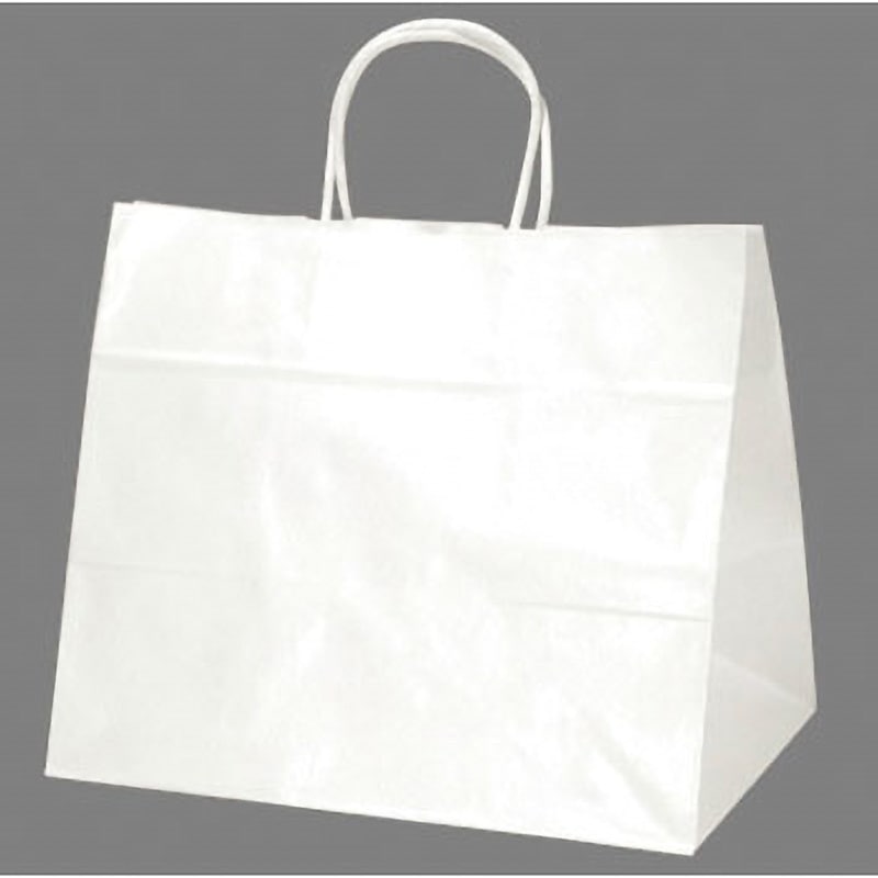 50-5000 手提げバッグ 白無地 1包(50枚) ササガワ 【通販モノタロウ】