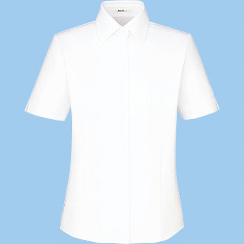 RB4542 リサール 半袖ブラウス RB4542 ボンマックス 女性用 フルダルドットニット ホワイト色 13号サイズ 5,290円