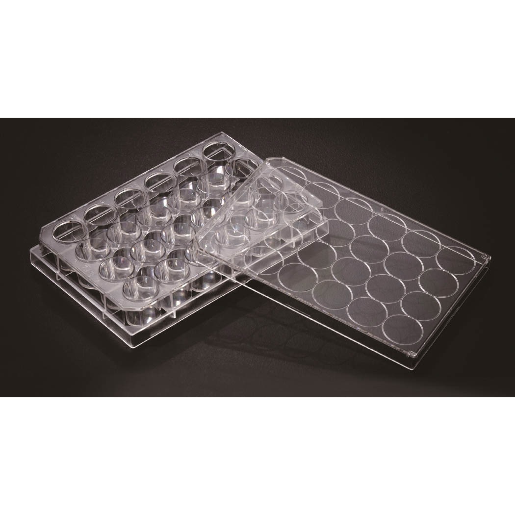 30024 セルカルチャープレート ケニス ウェル数24 容量1(液)mL  1組(50枚)