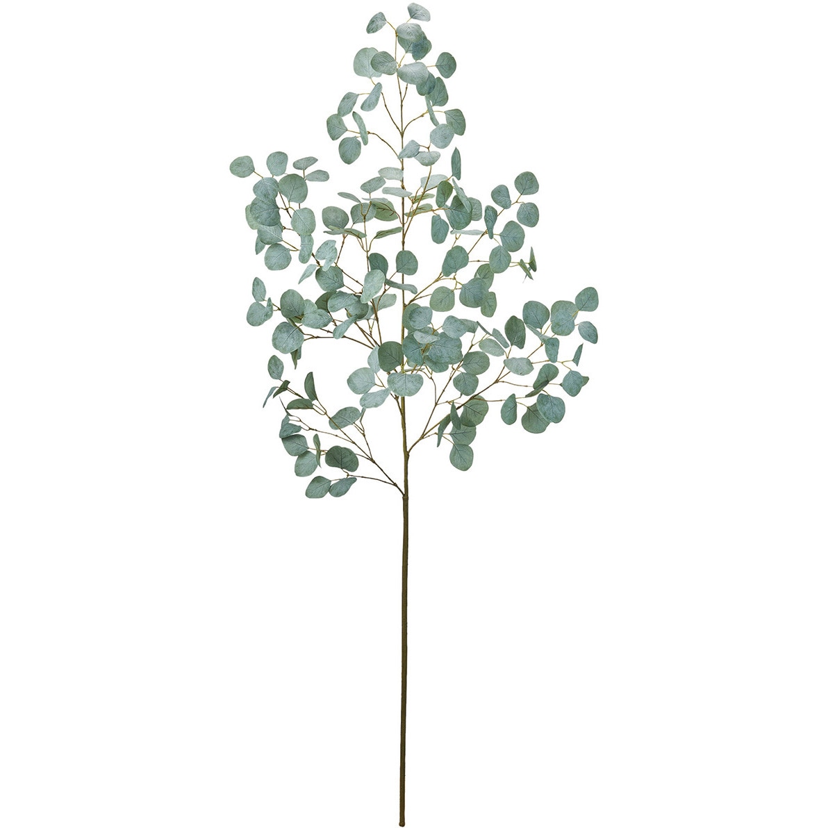 FG302292 ユーカリ大枝 MAGIQ(東京堂) 花葉付き枝もの 5,674円