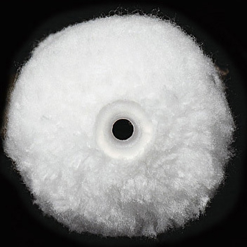 130-12 ミニスモールローラー マイクロン 中毛(13mm) 1袋(2本) TS