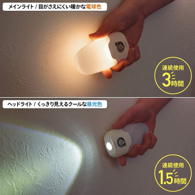 ライト コンセントタイプ wasser64 wasser64 コンセント式センサーライト 大河商事 屋内
