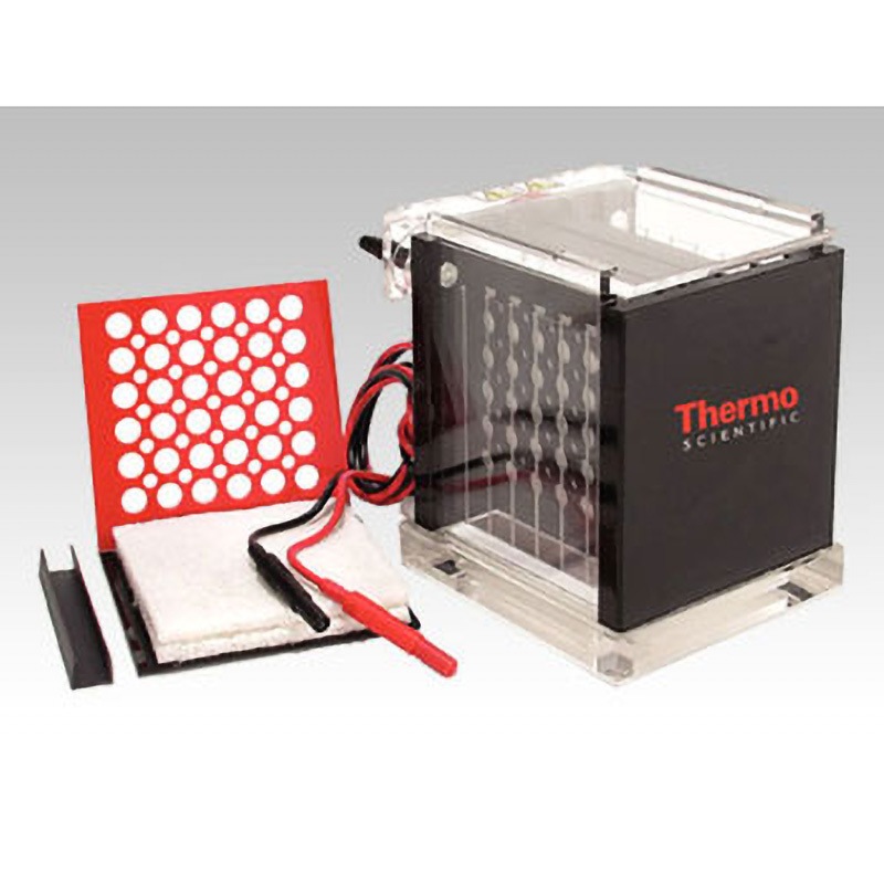 OW-VEP-2 タンク式ブロッティング Thermo Fisher Scientific サイズ130×180×165mm 1個 OW-VEP-2 114,900円