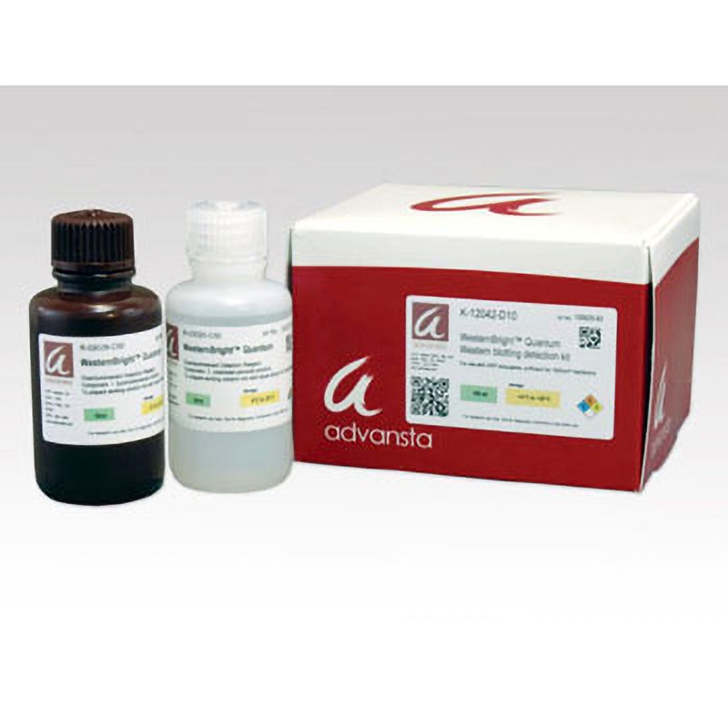 K-12042-C20 ECL試薬 アズワン 冷蔵