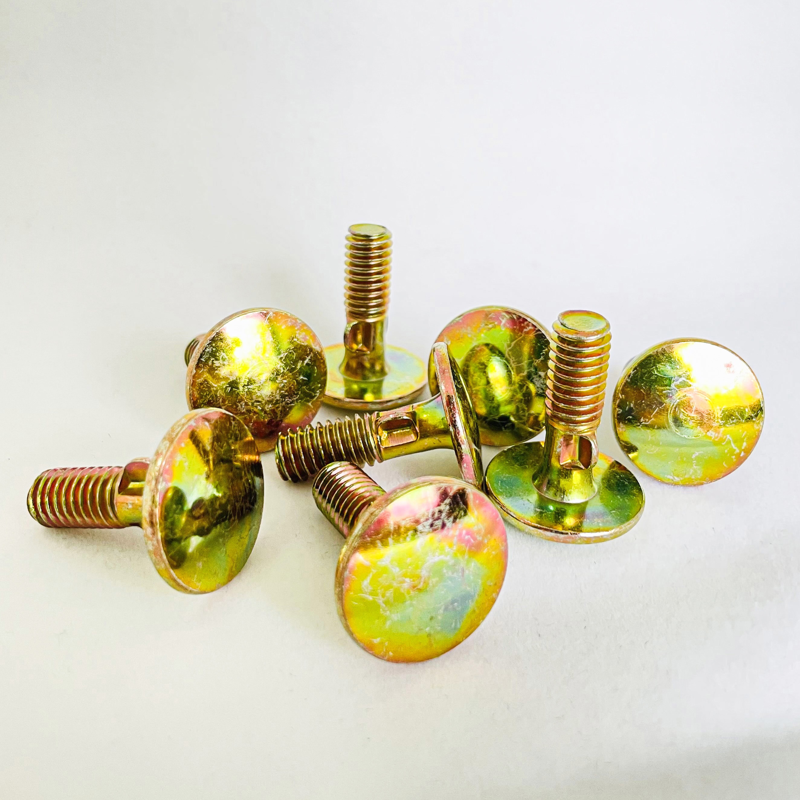 さつき　若エビス5幹 さつき 若エビス5幹