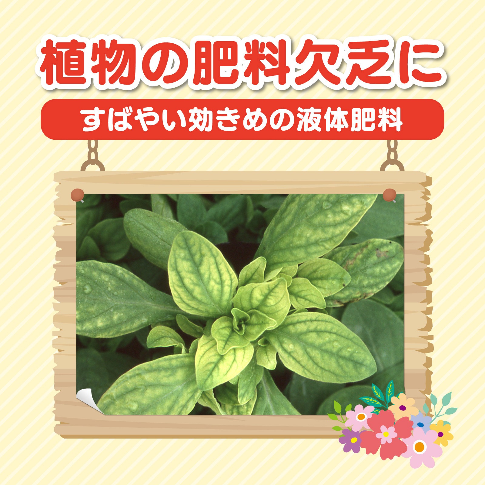 600ml 花工場原液 1本(600mL) KINCHO園芸(旧:住友化学園芸) 【通販