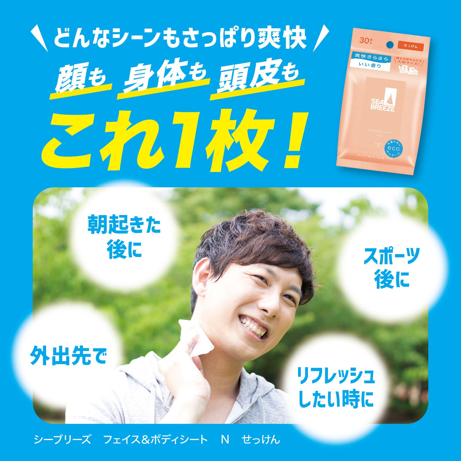シーブリーズ フェイス&ボディシート N 1個(30枚) ファイントゥデイ(旧
